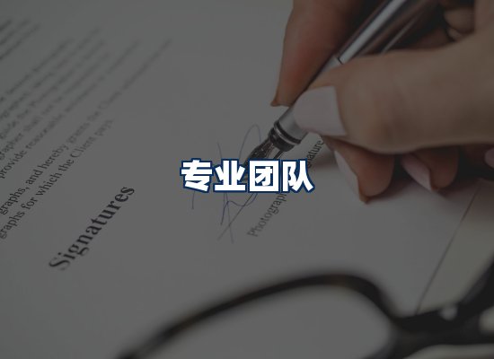专业团队